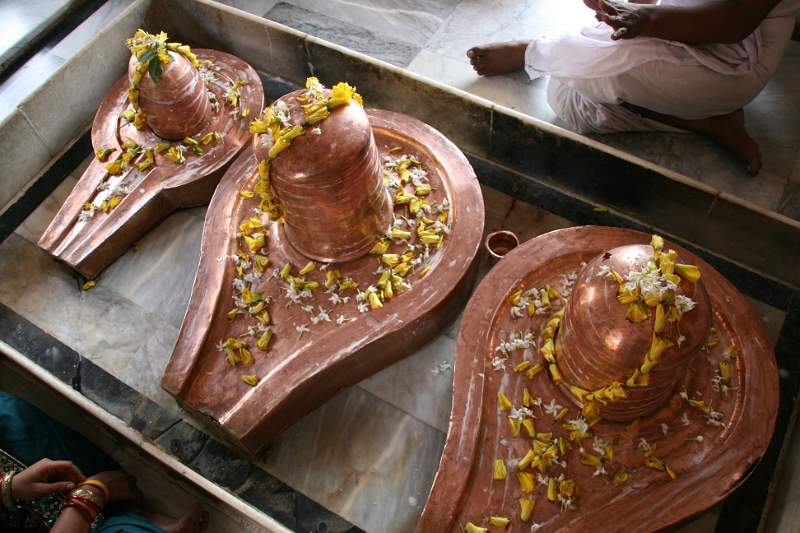 India & Nepal 2011 - 0845